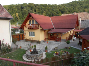 Отель Napsugár Vendégház  Совата